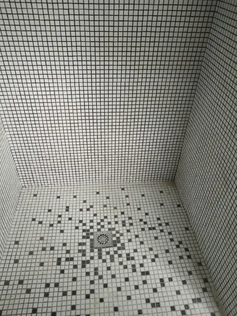 Mosaic-tiled shower with white and black accent tiles