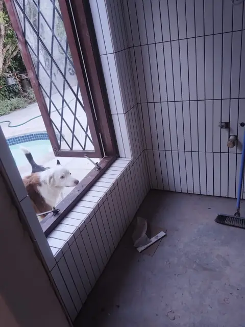 White-tiled bathroom wall and window reveal