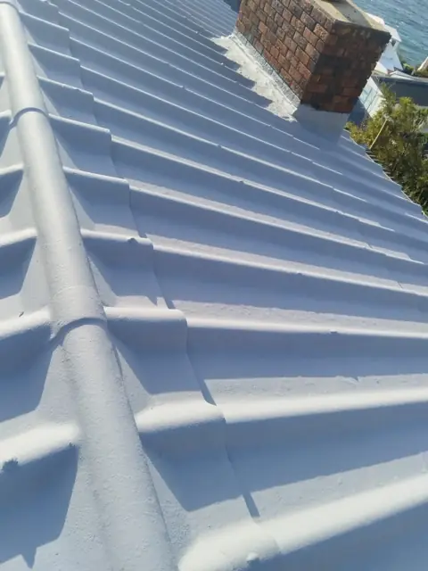 Freshly coated tile roof with chimney