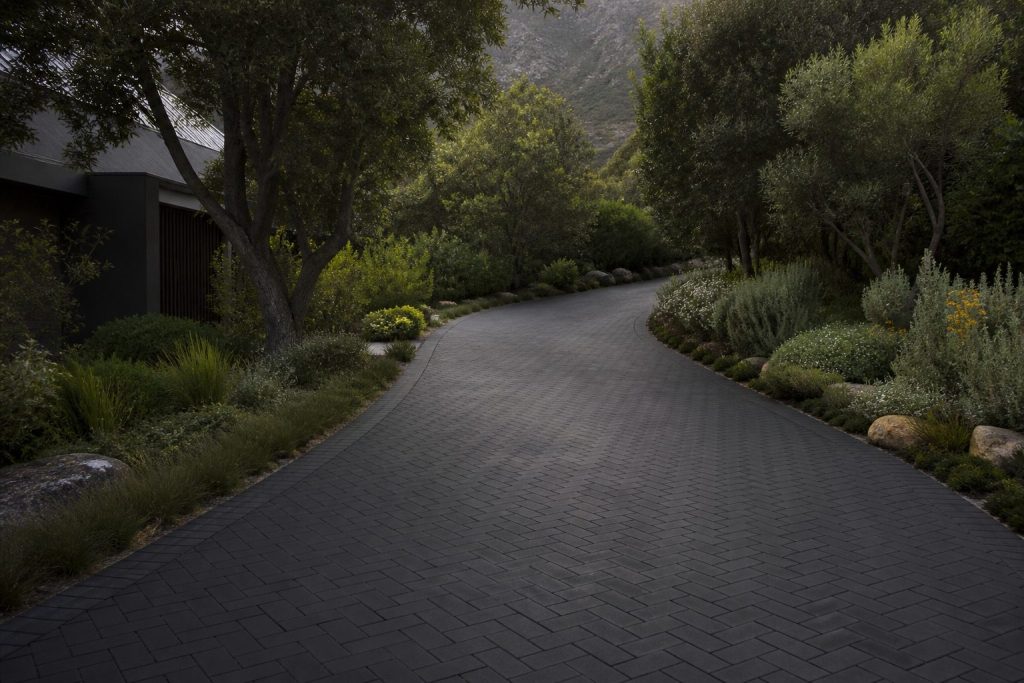 Dark paved driveway curving through trees — driveway paving cost